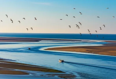 Illustration lade - Image 1