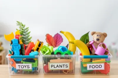 Illustration classifying - Image 1