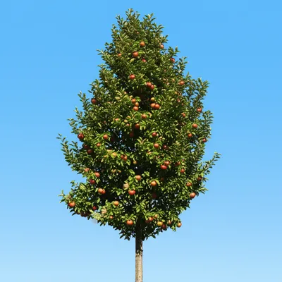 Illustration truncate - Image 1