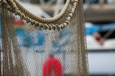 Illustration m - Image 1