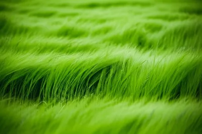 Illustration swaying - Image 1