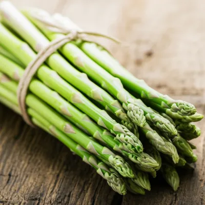 Illustration fascicle