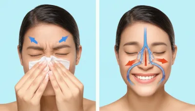 Illustration ephedrine - Image 1