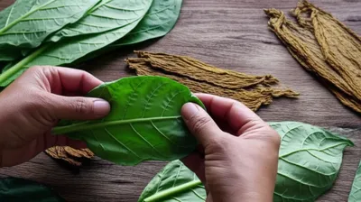 Illustration strips - Image 1