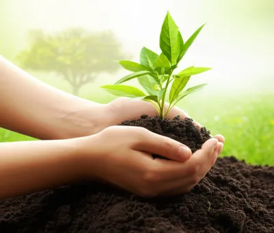 Illustration mothering - Image 1