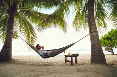 Illustration lamped - Image 1