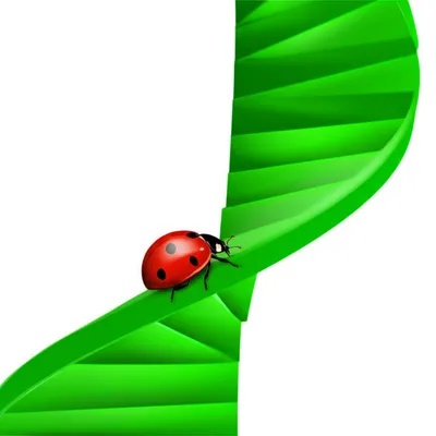 Illustration spiralled