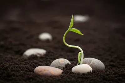 Illustration underlaid - Image 1