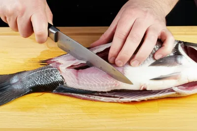 Illustration slimed - Image 1