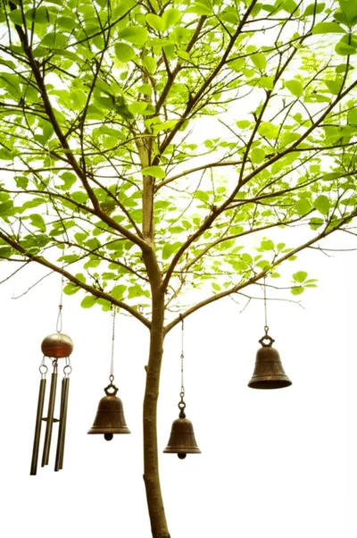 Illustration crack - Image 1