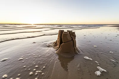 Illustration ended - Image 1