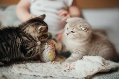 Illustration booty - Image 1