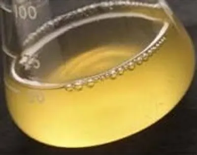 Illustration broth - Image 2