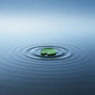 Illustration potential - Image 1