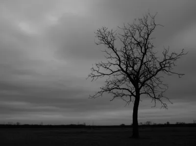 Illustration darkness - Image 1