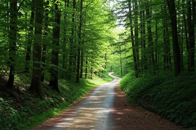 Illustration taken - Image 1