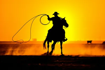 Illustration lassos - Image 1