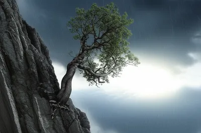 Illustration abides - Image 1