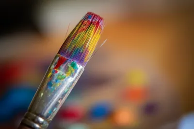 Illustration brights - Image 1