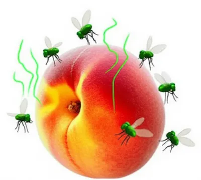 Illustration stinking - Image 1