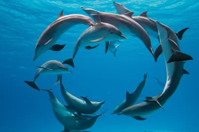 Illustration milling - Image 1