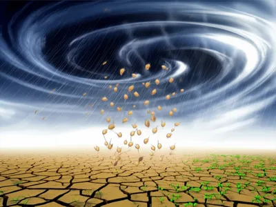 Illustration karma - Image 1