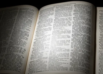 Hình ảnh minh họa sp - Ảnh 1