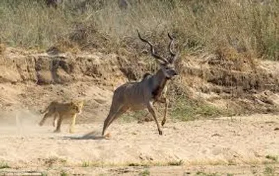 Illustration quarry - Image 2