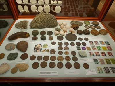 Illustration collections