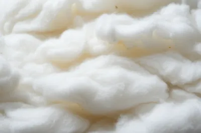 Illustration wadding - Image 1