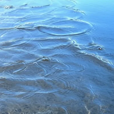 Illustration swill - Image 1