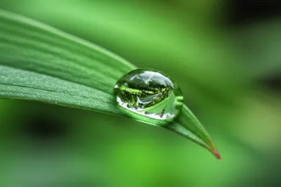 Illustration encapsulating - Image 1