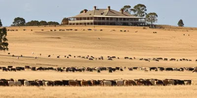 Illustration squatter - Image 1