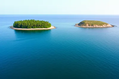 Illustration away - Image 1