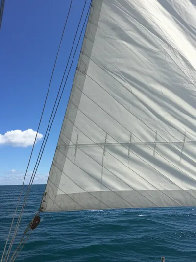 Illustration furling - Image 1