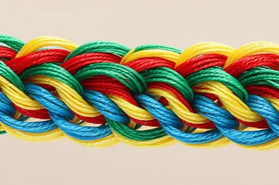 Illustration plait - Image 1