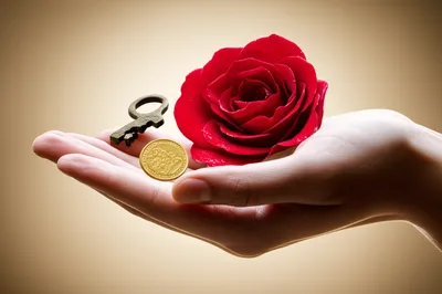 Illustration therewith