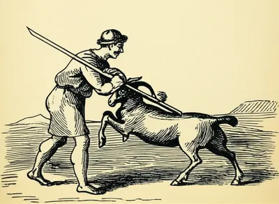 Illustration stave - Image 1