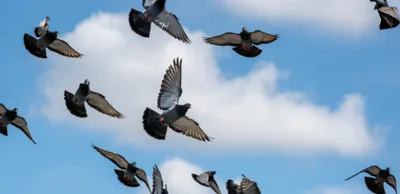 Illustration tumbler - Image 1