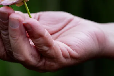 Illustration wrinkled - Image 1