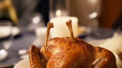 Illustration furcula - Image 1