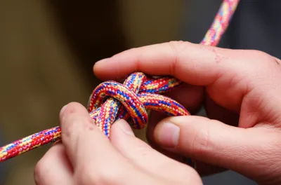 Illustration tiers - Image 1