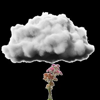 Illustration nullify - Image 1