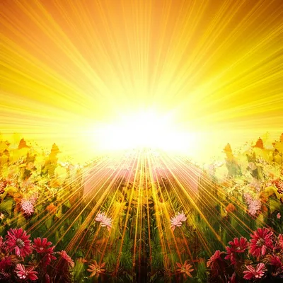 Illustration awesome