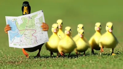 Illustration kids - Image 1