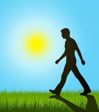 Illustration bipedal