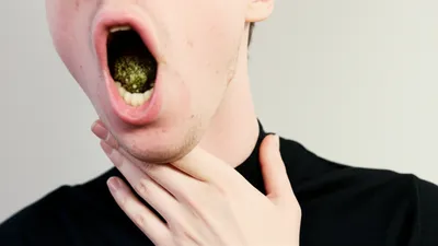 Illustration hawks - Image 1