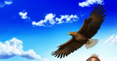 Illustration admires - Image 2