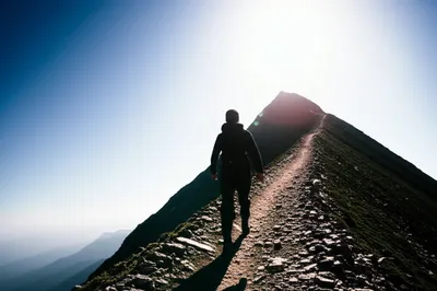 Illustration purposeful - Image 1