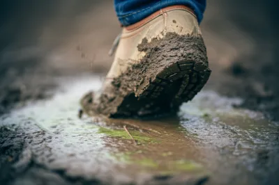 Illustration slip - Image 1